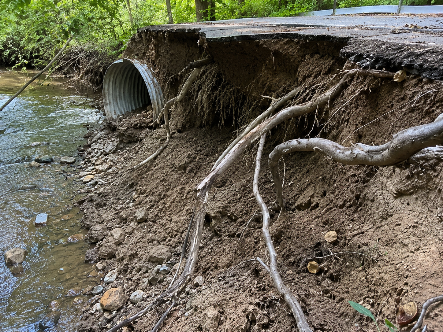 Stream-bank erosion undermining a road embankment